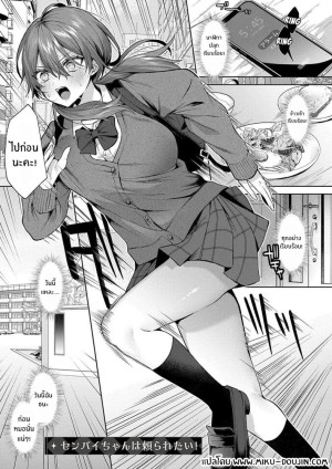 อ่านโดจิน รุ่นพี่ที่เชื่อถือได้ แปลไทย