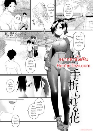 อ่านโดจิน ยอมได้เพื่อน้องชาย แปลไทย