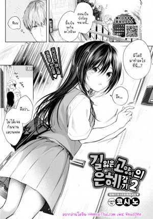 อ่านโดจิน น้องแมวหลงทาง 2 แปลไทย